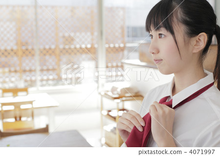 person, female, lady 4071997