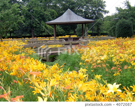 Navel park kiss garden 4072087