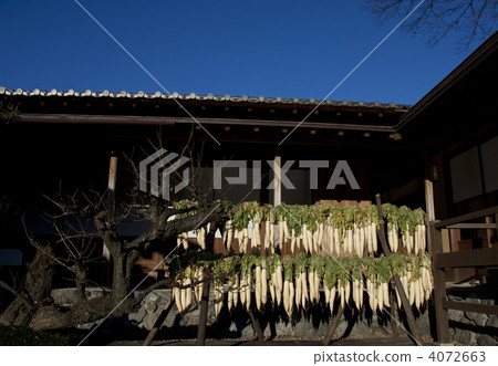 幹蘿蔔 幹蘿蔔 4072663