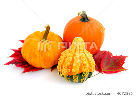 vegetables, vegetable, autumn 4072885