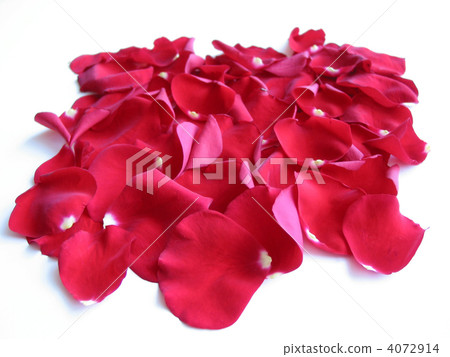 Red rose petals Red rose petals 4072914