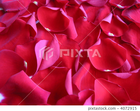 Red rose petals background Red rose petals background 4072915