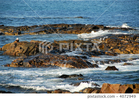 Rocks in ocean Rocks in ocean 4072949