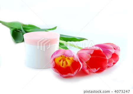 Tulips and cream 4073247