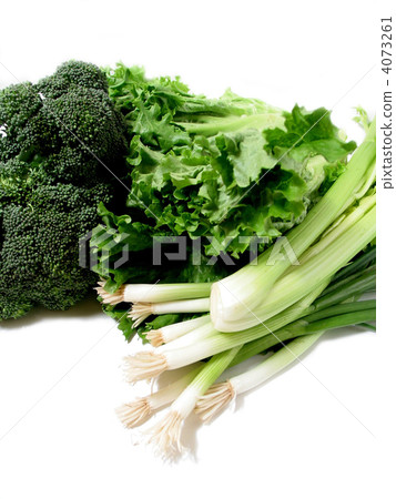 Green vegetables 1 Green vegetables 1 4073261