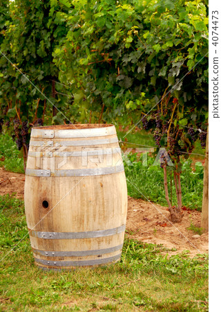 Wine barrel at vineyard 4074473