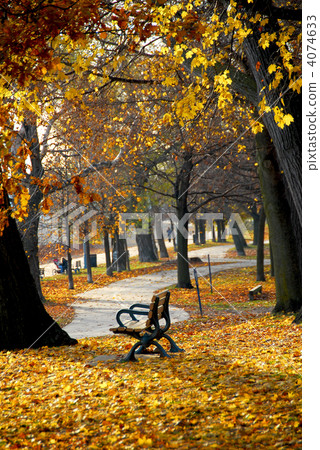 Autumn park 4074633