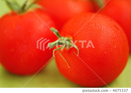 Tomatoes Tomatoes 4075337
