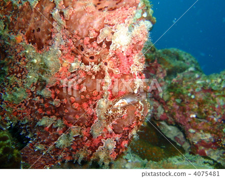 Bokeh - .... 4075481