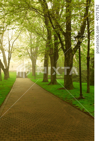 Foggy park Foggy park 4075762