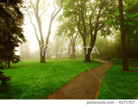 Foggy park 4075767