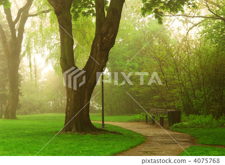 Foggy park 4075768