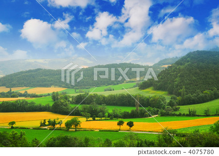 Rural landscape Rural landscape 4075780