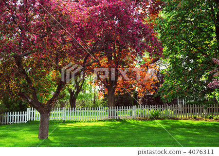 Rural landscape 4076311