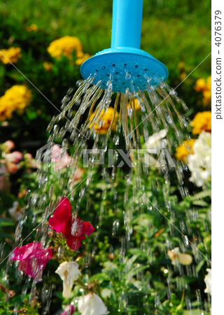 Watering flowers 4076379