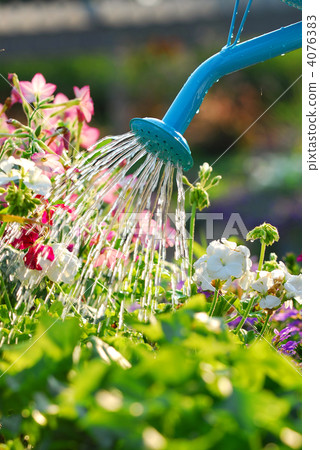 water, gardening, avocation 4076383