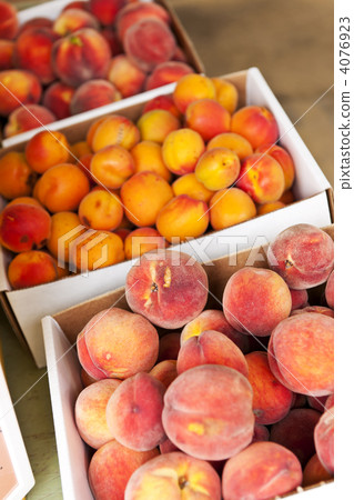 Fruit for sale Fruit for sale 4076923