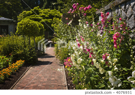 Colorful flower garden 4076931