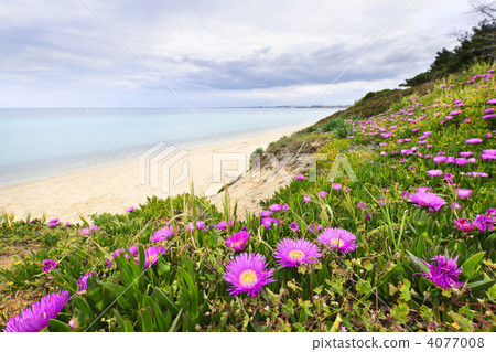 Mediterranean landscape 4077008