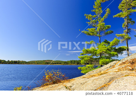 Lake shore in Ontario, Canada 4077118