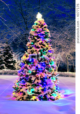 Christmas tree outside 4077176