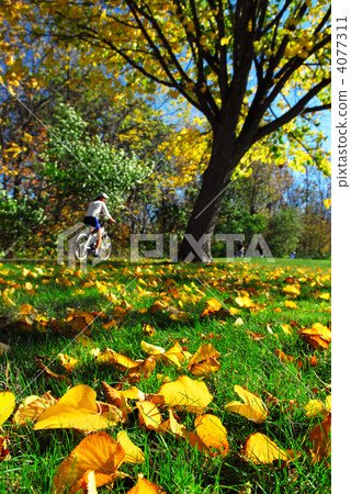 Fall park Fall park 4077311