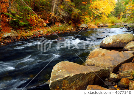 Forest river in the fall 4077348