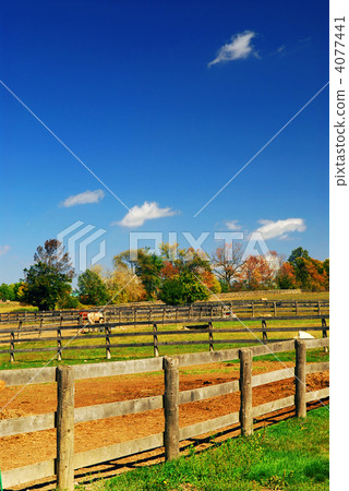 Rural landscape Rural landscape 4077441