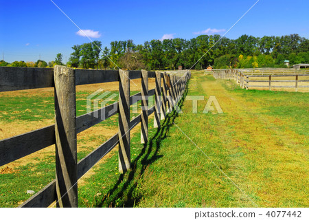 Rural landscape 4077442