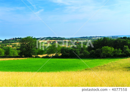 Rural landscape Rural landscape 4077558