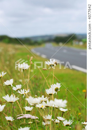 Country road 4077642