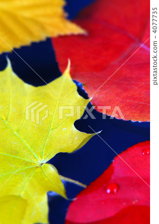 Fall leaves in water 4077735