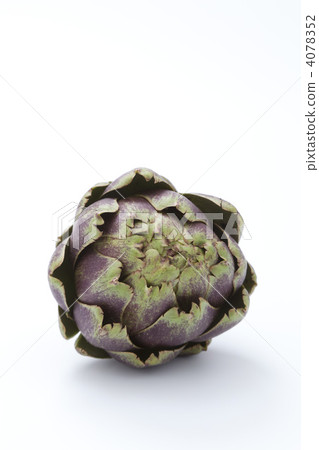 artichoke artichoke 4078352