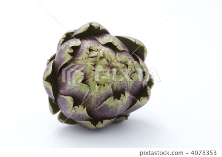 artichoke 4078353