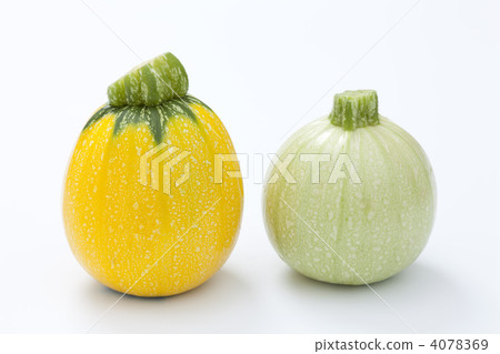 圓形西葫蘆 4078369
