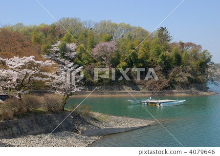 東京多摩湖 東京多摩湖 4079646