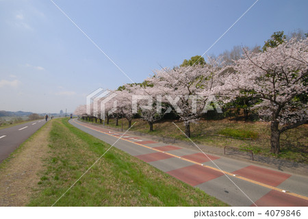 Fuchu-shi Tama river bank 4079846