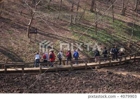 東京Musashimurayama 東京Musashimurayama 4079903