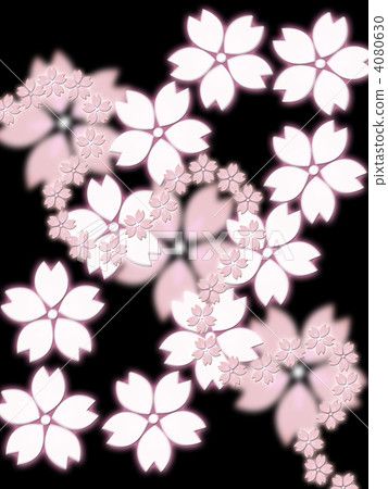 Sakura blowing in the wind (black back) Sakura blowing in the wind (black back) 4080630