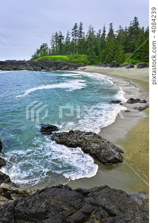 Coast of Pacific ocean in Canada 4084239