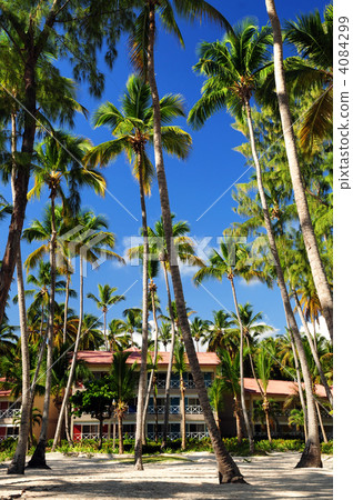 Tropical resort 4084299