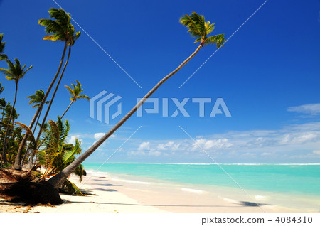 Tropical beach 4084310
