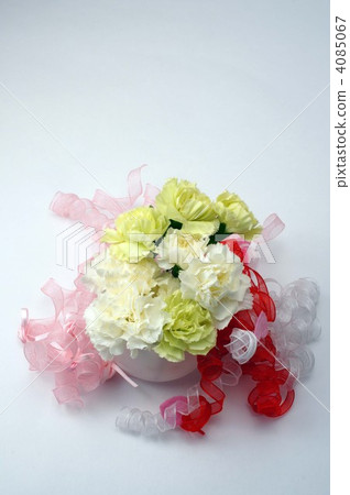Mother's Day image · Carnation bouquet Mother's Day image · Carnation bouquet 4085067