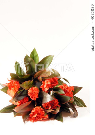Mother's Day image · Carnation bouquet Mother's Day image · Carnation bouquet 4085089