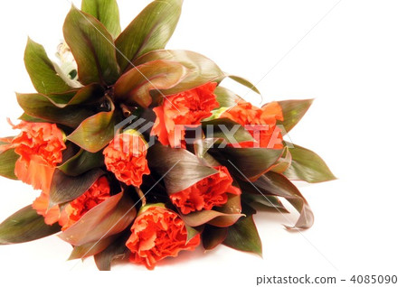 Mother's Day image · Carnation bouquet Mother's Day image · Carnation bouquet 4085090
