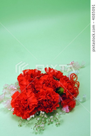 Mother's Day image · Carnation bouquet Mother's Day image · Carnation bouquet 4085091