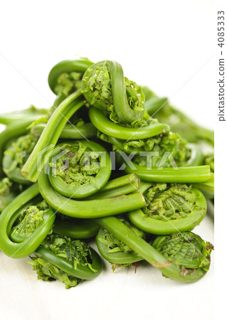 Fiddleheads Fiddleheads 4085333