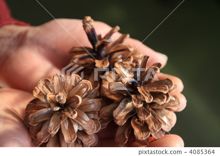 Matsukasa在手邊 4085364