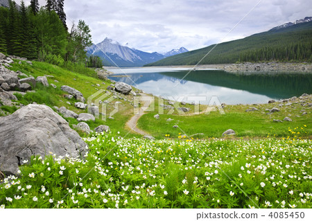 Mountain lake in Jasper National Park, Canada 4085450