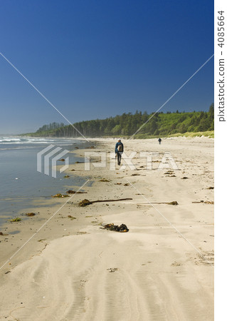 Sandy beach in Pacific Rim National Park in Canada 4085664